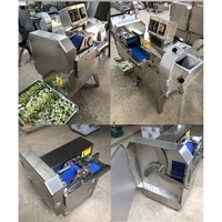 Industriële commerciële roestvrijstalen automatische fruit- en groentestrip-, zoete aardappelchips- en uien snijmachine voor de groenteverwerkingsindustrie