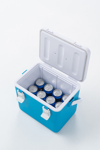 Haute qualité couleur blanche étanche 10 L vaccin/<span class=keywords><strong>sang</strong></span>/médecine Transport isolation sous vide glacière - Product Image 6