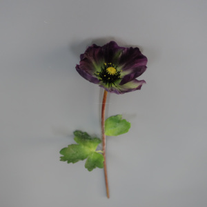 TIGE DE FLEUR DE POPPY 17 "[EF3304] - Product Image 2