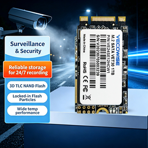 SSD M.2 2242 di Grado Industriale Pronto per la Consegna, Monitoraggio della Salute S M A R T per Unità di Controllo Embedded Mediche, Fornitura Immediata - Product Image 1