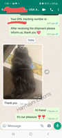 Rambut Virgin Body Wave 100% Full Cuticle Aligned, Bundel Rambut Manusia India Temple Virgin Tanpa Proses, Pemasok Ekstensi Rambut Manusia