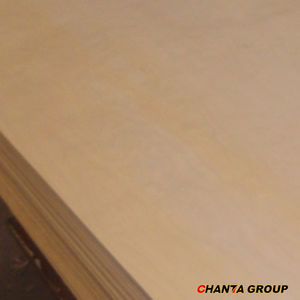 Contreplaqué d'eucalyptus professionnel/plaques de bois stratifié/contreplaqué enduit de haute qualité - Product Image 6