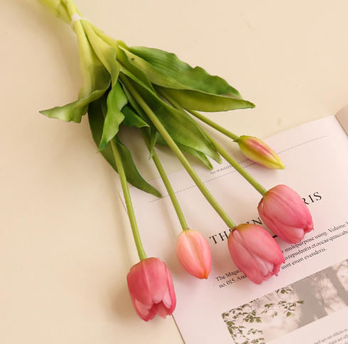 สีม่วงอ่อน