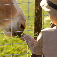 Clôture de pâturage en acier galvanisé pour bétail, clôture de champ bon marché pour animaux et cerfs, prix le plus bas