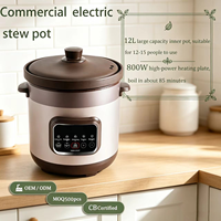 Vente directe usine – Mijoteuse électrique multifonction en céramique de 12,68 qt, grande capacité, sans revêtement, pour usage domestique, idéale pour les soupes