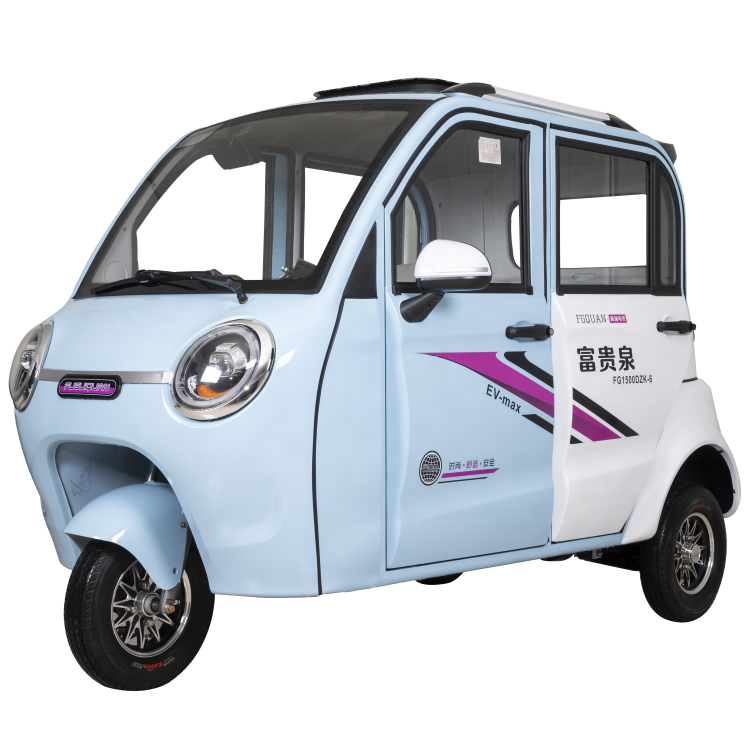 FGQ Mini Car with Full Enclosed