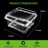 Conteneur carré en PET transparent pour fruits, avec trous d'aération, pour baies, raisins, salades, directement de l'usine