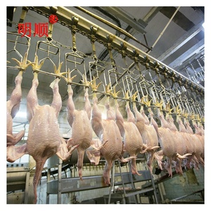 Nhà Máy 2024 Giá Gia Cầm Vịt Gà Thỏ Thịt Nhà Máy Chế Biến Máy - Product Image 5