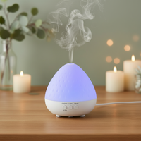 Diffuseur d'huiles essentielles LED 250 ml avec minuterie, aromathérapie, pour la maison, l'hôtel et le spa - Vente en gros