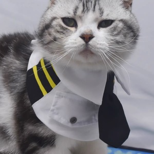 Pañuelo Triangular Tipo Uniforme de Piloto para Perros, Estilo Fuerza Aérea, Suave y Novedoso - Product Image 1