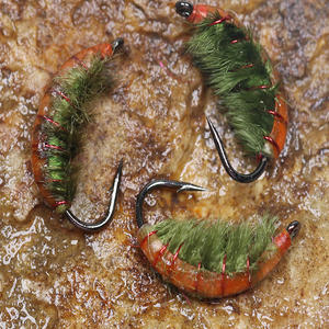 Vente en gros de nymphes tchèques en vrac Scud Mouches à ver avec hameçon barbelé <span class=keywords><strong>Pêche</strong></span> à la truite Appât à la mouche - Product Image 5