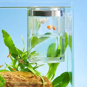 Caja de Cría de <span class=keywords><strong>Peces</strong></span> de Acrílico Transparente, Tanque de Aislamiento <span class=keywords><strong>para</strong></span> Crías de Guppy, Betta, Camarones, Acuario Compacto <span class=keywords><strong>para</strong></span> <span class=keywords><strong>Peces</strong></span> - Product Image 2