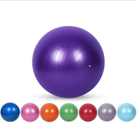 Miket all'ingrosso stampa Logo personalizzato produttore 45-95 CM palestra esercizio palla Yoga palla equilibrio con pompa