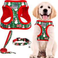 Ensemble de laisse et de collier pour chien réglable et écologique de Noël avec motif de dessin animé en polyester