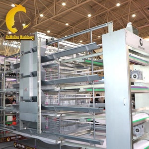 معدات لتربية الدواجن عالية الجودة التلقائي نظام جمع البيض ل قفص إعياء بياضة للدجاج - Product Image 3