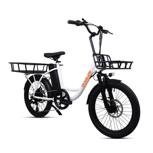 Bici da Carico Elettrica da 20 Pollici 36v 250w a 2 Ruote con Scavalco Basso non Pieghevole per Consegna Cibo - Product Image 4