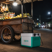 Générateur solaire Meco 1000 300W, station d'alimentation portable 1000Wh, durée de vie élevée pour la maison et les petites entreprises