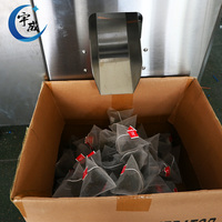 Machine automatique de remplissage et de scellage de sachets de thé pyramidaux en soie compostables, à économie d'énergie électrique, avec moteur, pour thé aux fruits