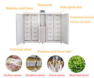 Máquina para Cultivar Brotecitos de Frijol Mung de Alta Capacidad, Nueva, Hecha en China - Product Image 6