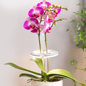 J&C Planter Mate 10w Usb Led Grow Light Pot Tanaman Pintar Dalam Ruangan Pot Dekoratif Dalam Ruangan Planter Portabel Taman - Product Image 1
