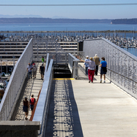 Panneau de clôture en aluminium découpé au laser fantaisie avec des motifs de pont, balustrades et rampes décoratives