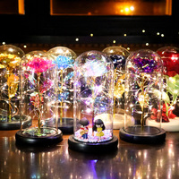 La Belle et la Bête Galaxy Rose Enchanted LED Glass Dome Cadeau coloré unique pour son Noël Saint Valentin Forever Rose