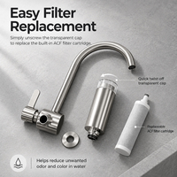 Robinet mural simple eau froide en acier inoxydable 304 avec filtre ACF pour évier de cuisine, purifie l'eau du robinet