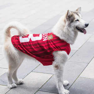 Vêtements pour animaux de compagnie les plus vendus, en polyester respirant et durable, pour chiens et chats, à porter en extérieur, design de costume de football - Product Image 5