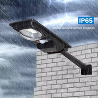 Farola Solar de 100W, Impermeable, con Control Óptico, para Exteriores, para Carreteras, Lámpara Solar para Exteriores