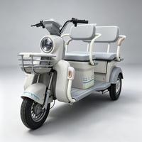 Tricycle électrique à 3 roues pour passagers, fabriqué en Chine, scooter électrique pour adultes, pour les déplacements quotidiens en ville en famille