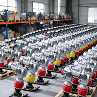 Compacteur à chocs Lingxing Power Jumping Jack 70 kg 3000 W pour la construction de canalisations et le remblaiement, poignée ergonomique, haute efficacité, ISO
