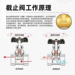 Válvula de Cierre de Doble Unión de Cobre PPR con Estructura de Diafragma de 20 mm, Tubería de Agua de Doble Extremo para Fusión en Caliente, Accesorios de Interruptor de Válvula de 4/6/1 Pulgadas - Product Image 4