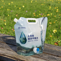 Sac à eau personnalisé 5L 8L Sac de grande capacité de 10 litres dans une boîte avec pochette sur support avec valve Emballage en plastique sac à eau de jus de lait