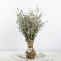 AX-20 Natürlich Getrocknete Limonium-Blume Liebhabergras Caspium Dekorativer Strauß Muttertag 19,6 Zoll