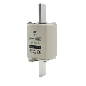 Düşük voltaj kullanımı için NT1/250A <span class=keywords><strong>NH</strong></span> sigorta yüksek kesme kapasitesi sigorta - Product Image 1