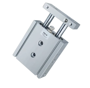 Cilindro Neumático Guiado de Doble Acción de Alta Calidad TR25X20, Diámetro de 25 mm, Carrera de 20 mm, Cilindro de Aire de Doble Acción con Doble Vástago Magnético - Product Image 2