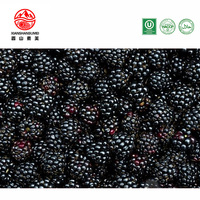 Natuurlijke Kleur Gehele Diepvries Zwarte Bessen IQF Ongezoet Natuurlijk Zoete Smaak Zwarte Bessen Fruit 10kg Doos 24 Maanden Houdbaarheid