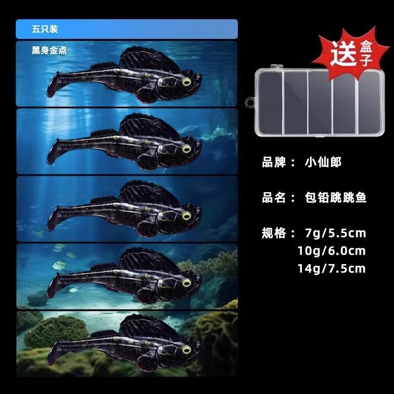 10g Black Body with Gold Spots [Pack of 5] Includes Bait Box