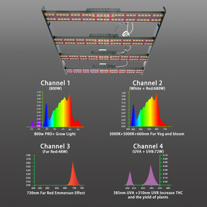 Điều Khiển Tùy Chọn Nhà Máy Hoa 4X4 Lều 800 Watt 4 Bar 600W 800 W 720W Quang Phổ Đầy Đủ Samsung Hydroponic <span class=keywords><strong>LED</strong></span> Grow Light - Product Image 6