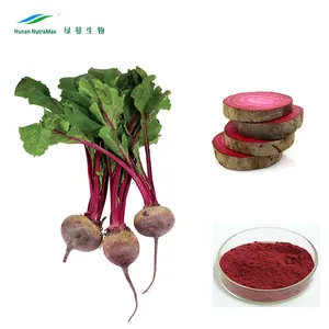 100% thực phẩm tự nhiên màu đỏ củ cải gốc nước trái cây tập trung bột lỏng củ cải đường bột