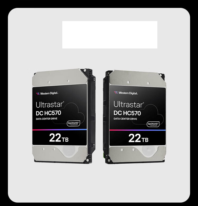SAS-22TB