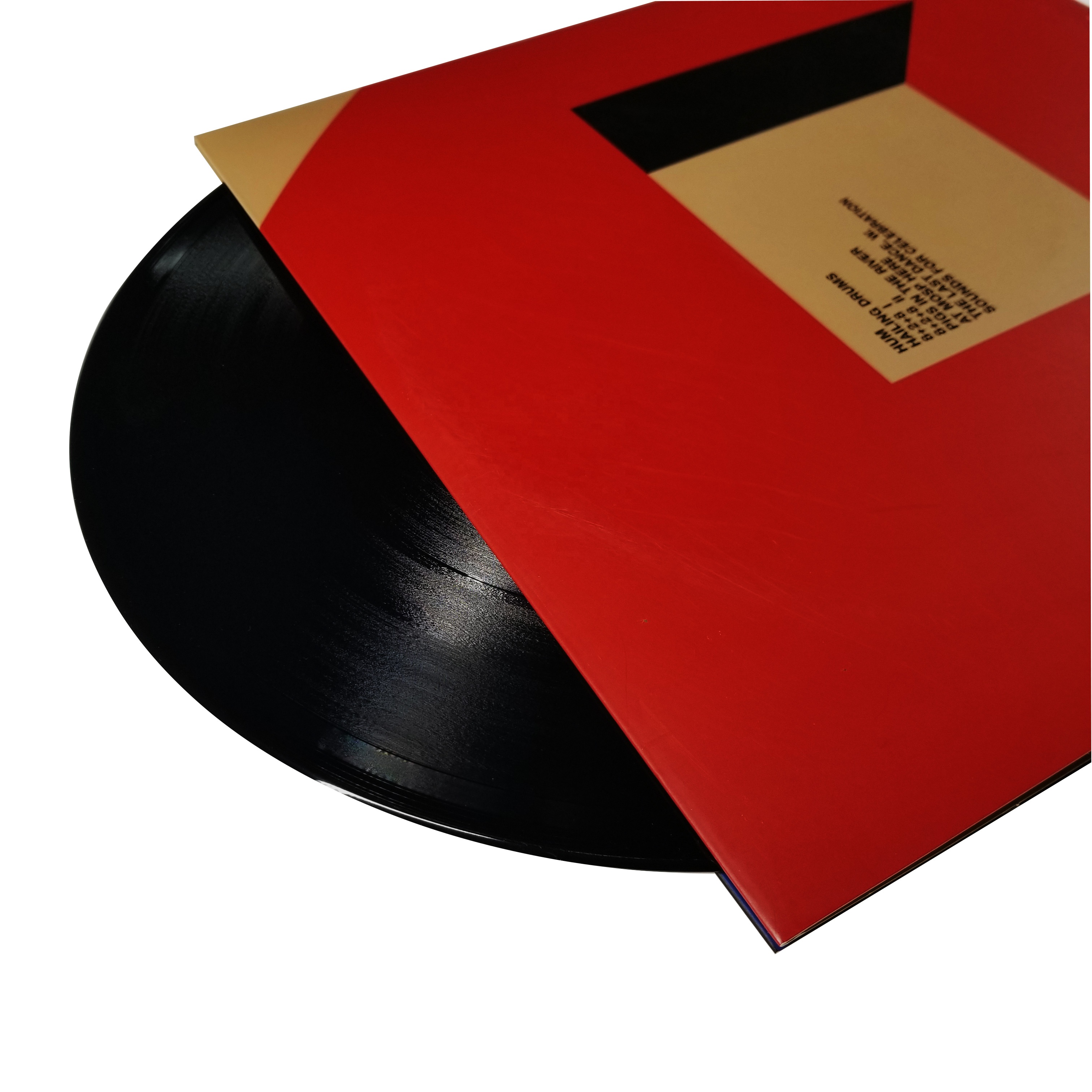 LP Vinyl Records Manufacturing Vinyl Manufacturer Vinyl Record Jacket LP Disc Pressing