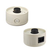 Bouilloire électrique portable 0,8L 600W 110/220V pliable pour le voyage et la maison