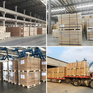 Trina celle 132 solari bimial doppio vetro PV modulo 675W 680W 685W 690W 695W 700W pannelli solari Stock - Product Image 5