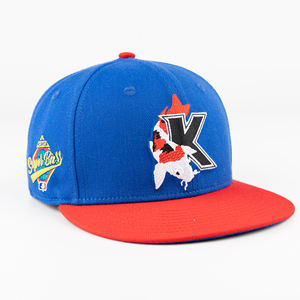 Gorras de Alta Calidad TCAP China OEM/ODM con Logotipo Bordado Personalizado, Unisex, para Niños y Adultos - Product Image 6