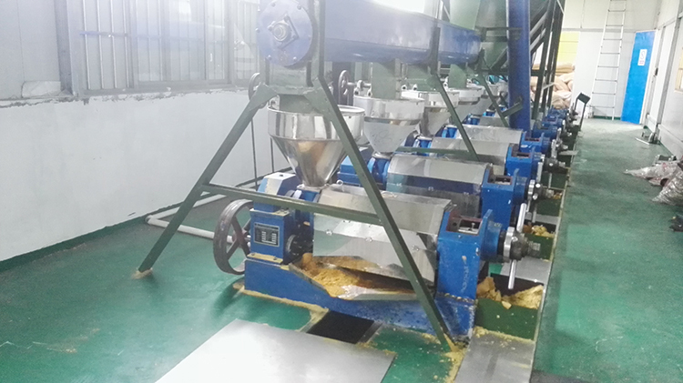 Huile d'arachide à vis Unique d'avocat hydraulique roulette presseurs d'huile de Ligne