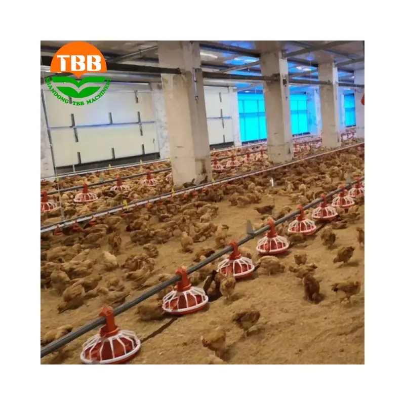 Sistema di alimentazione automatica dell'attrezzatura del pollame per il sistema della catena di alimentazione della gallina del pollo dell'allevatore