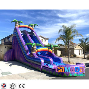 Castillo Inflable de PVC con Tobogán de Agua, Piscina, Color y Tamaño Personalizables, Precio al por Mayor, para Uso en Casa, Escuela y Exteriores - Product Image 5