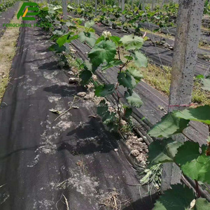 Feuilles de protection contre les mauvaises herbes en tissu pour paysage agricole - Product Image 4