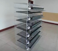 Nouvelle Cage à Cailles Commerciale en Acier Galvanisé Durable et Écologique, Conception Type H, Batterie Avicole Automatisée 6 Niveaux, Capacité 360